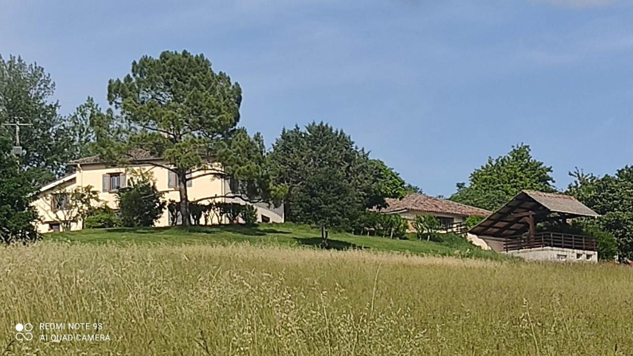 Villa Ferme Du Bois Du Pouget à La Salvetat-Belmontet Extérieur photo